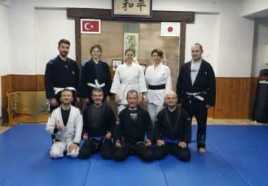 BREZİLYA JİU JUTSU